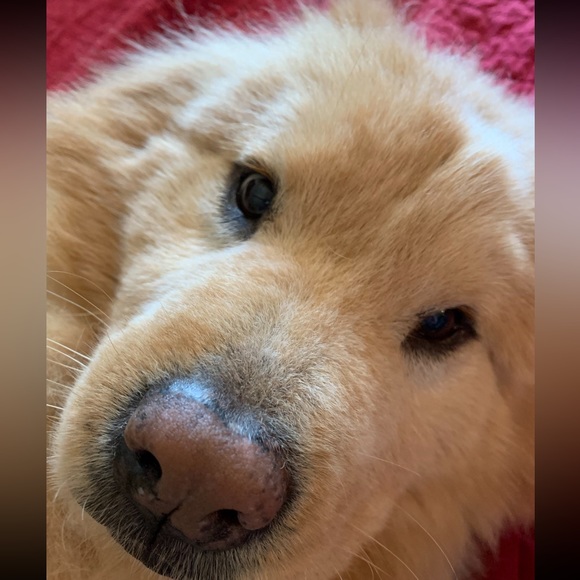 Meet your Posher, Emily - Picture 12 of 16